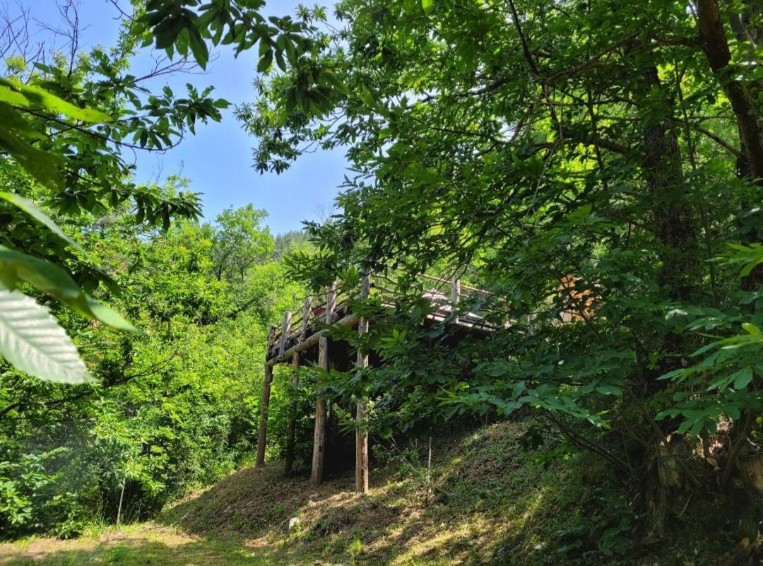 Loz'Aire Naturelle Quezac  Exterior photo