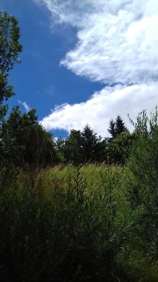 Loz'Aire Naturelle Quezac  Exterior photo